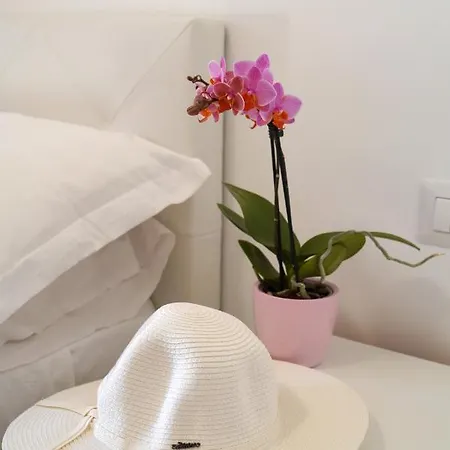 Appartement Piazza Lauro Sorrente